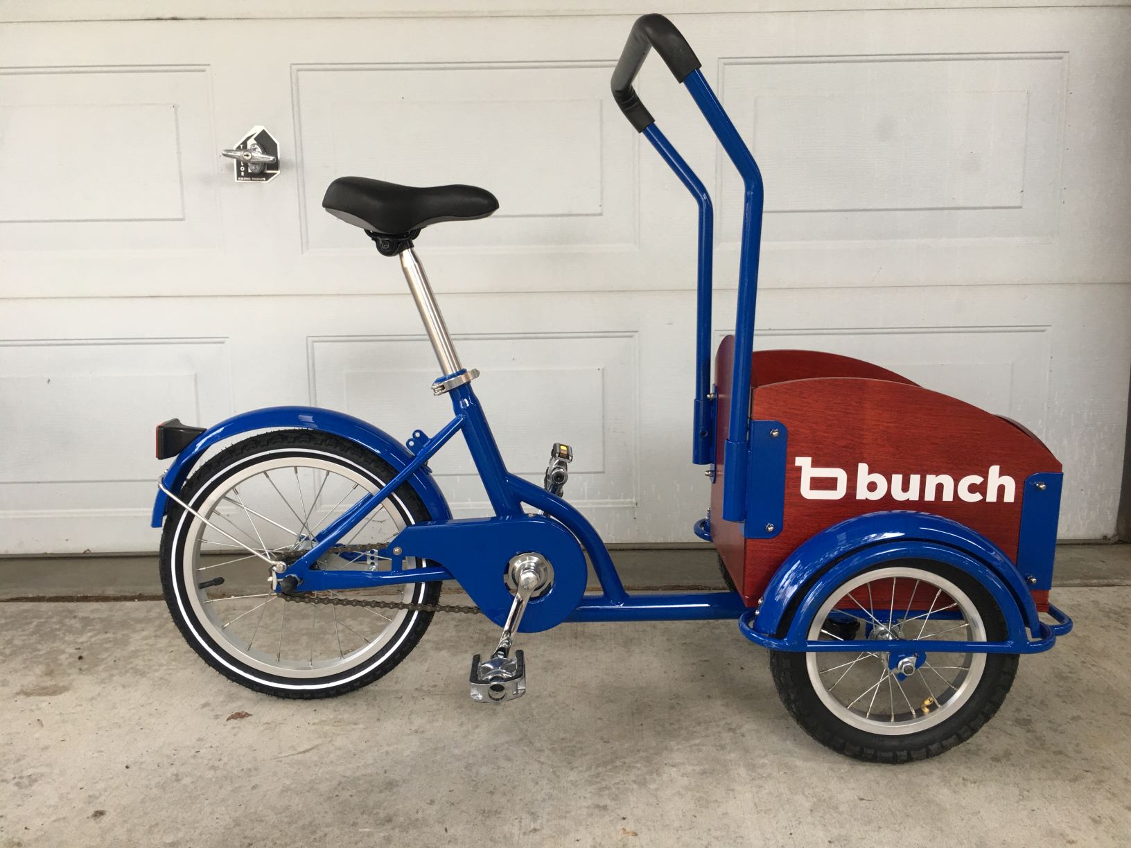Bunch Bike Mini Kids Bike Review Rascal Rides