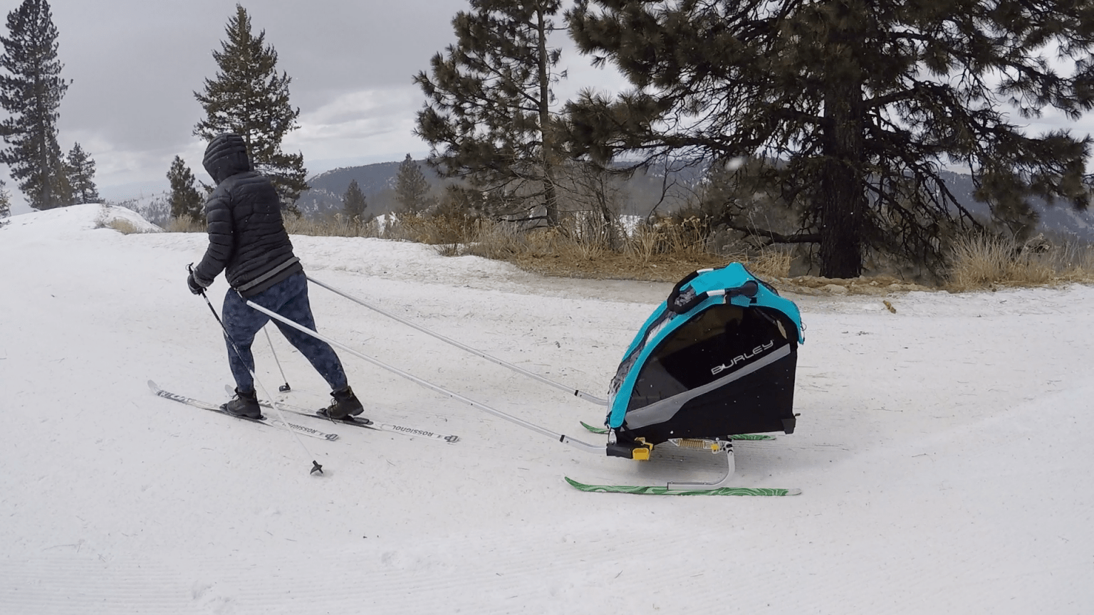 Burley D'Lite X Review Why It's Worth The Money Rascal Rides