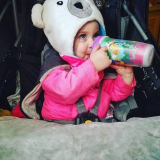 Burley Solo Bike Trailer Review - Rascal Rides