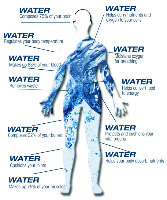 A Practical Guide to Wellness Objective 1 Drink More Water Rashon