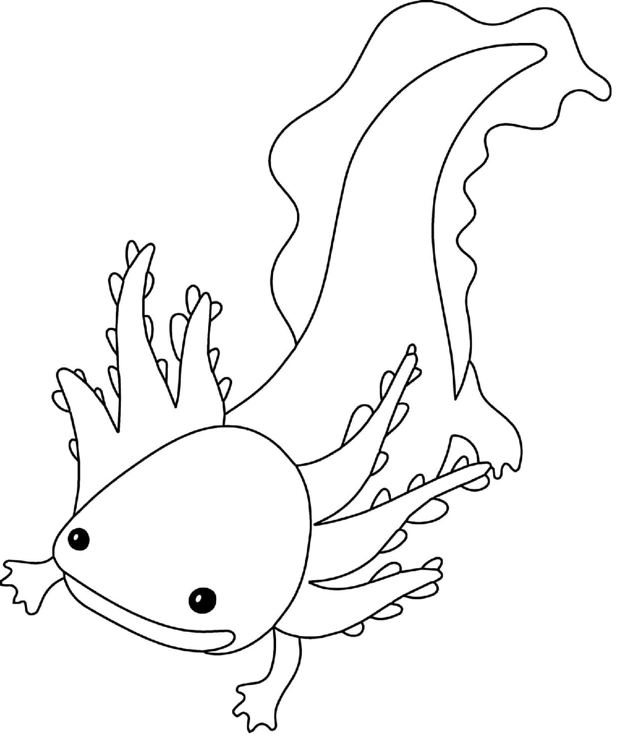 Coloriage Axolotl à imprimer