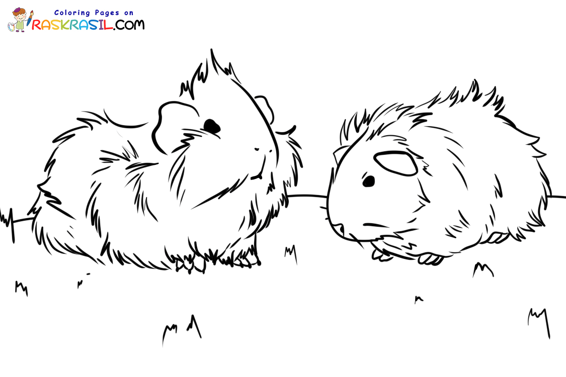 Christmas Guinea Pig Coloring Pages