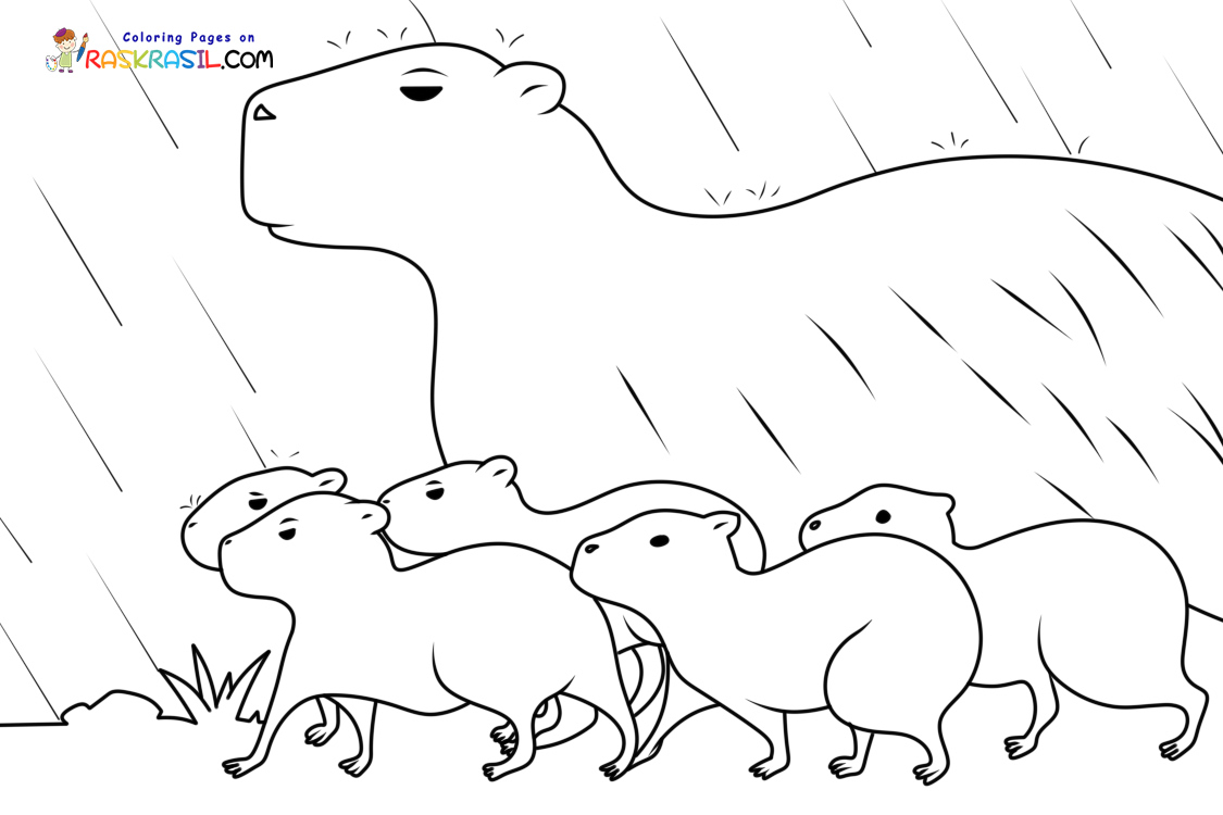 Capybara Coloring Pages Free Printables