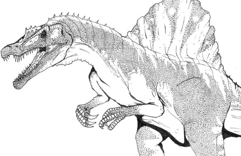 Coloriage Spinosaurus. Téléchargez ou imprimez gratuitement