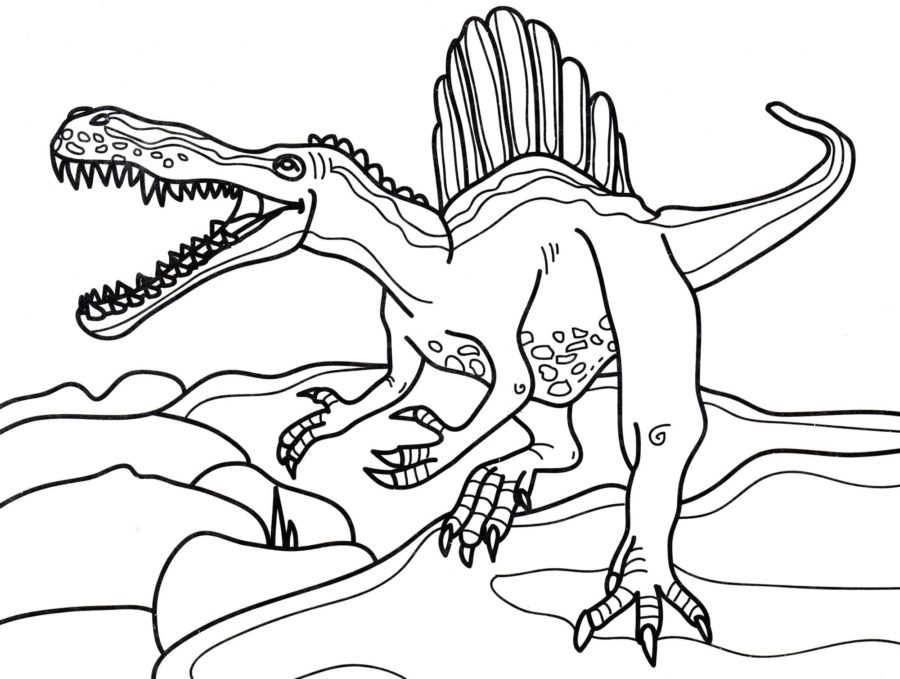Coloring pages Spinosaurus. Download or print for free