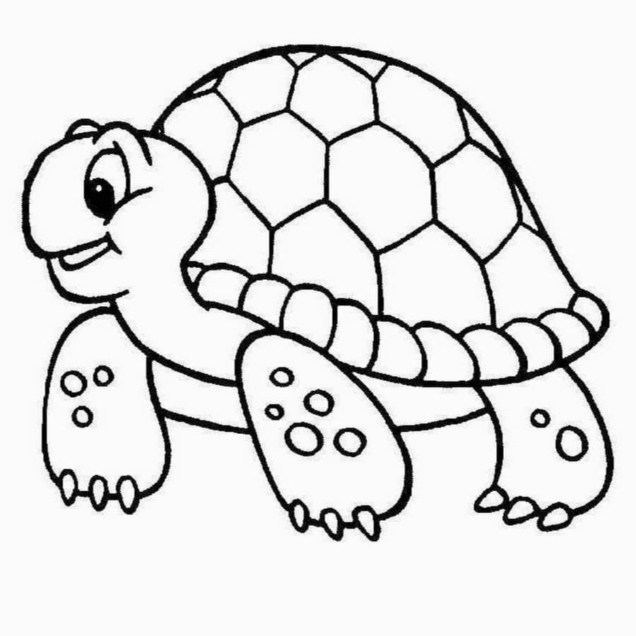 Cute Turtle Coloring Pages For Kids