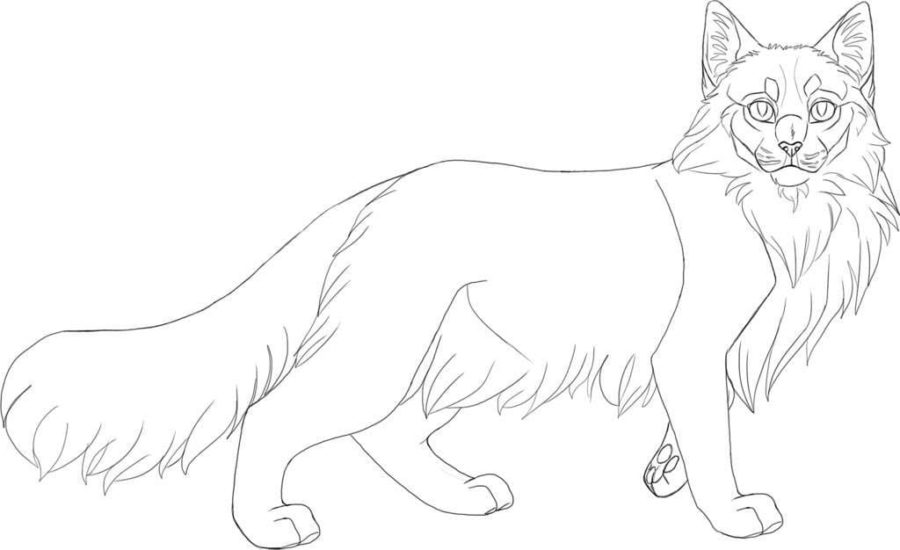 Ausmalbilder Warrior Cats 100 Malvorlagen Kostenlos zum Ausdrucken
