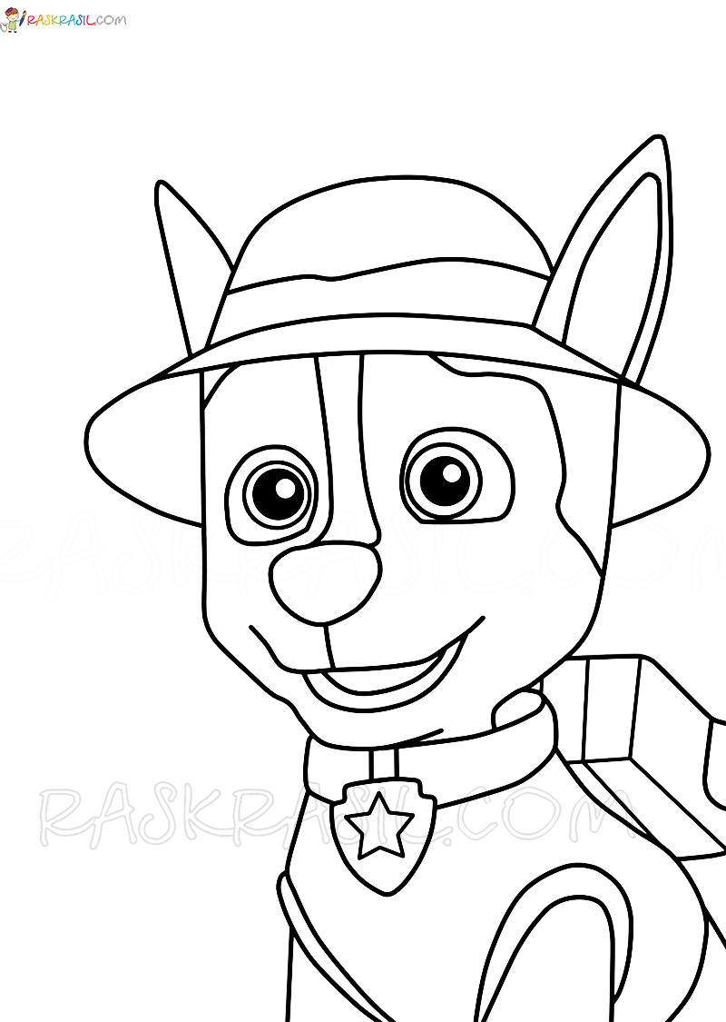Ausmalbilder Paw Patrol. 128 Bilder. Kostenlos drucken