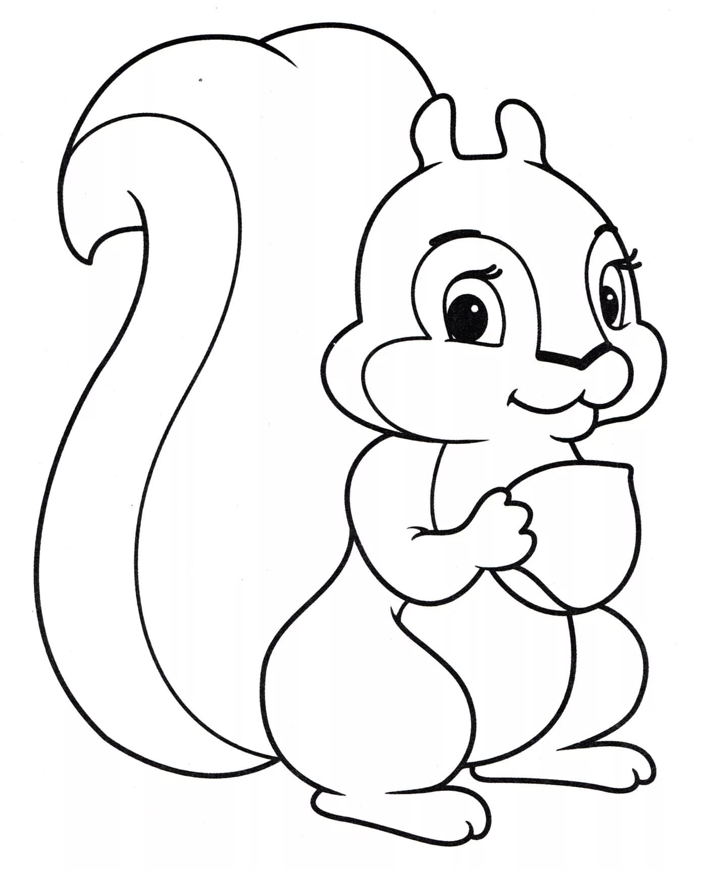 Squirrel Coloring Pages For Toddlers