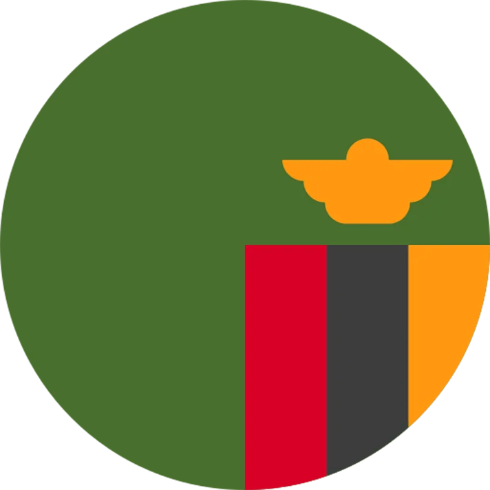 RAS Logistics (T) Ltd. Freight & Logistics Services