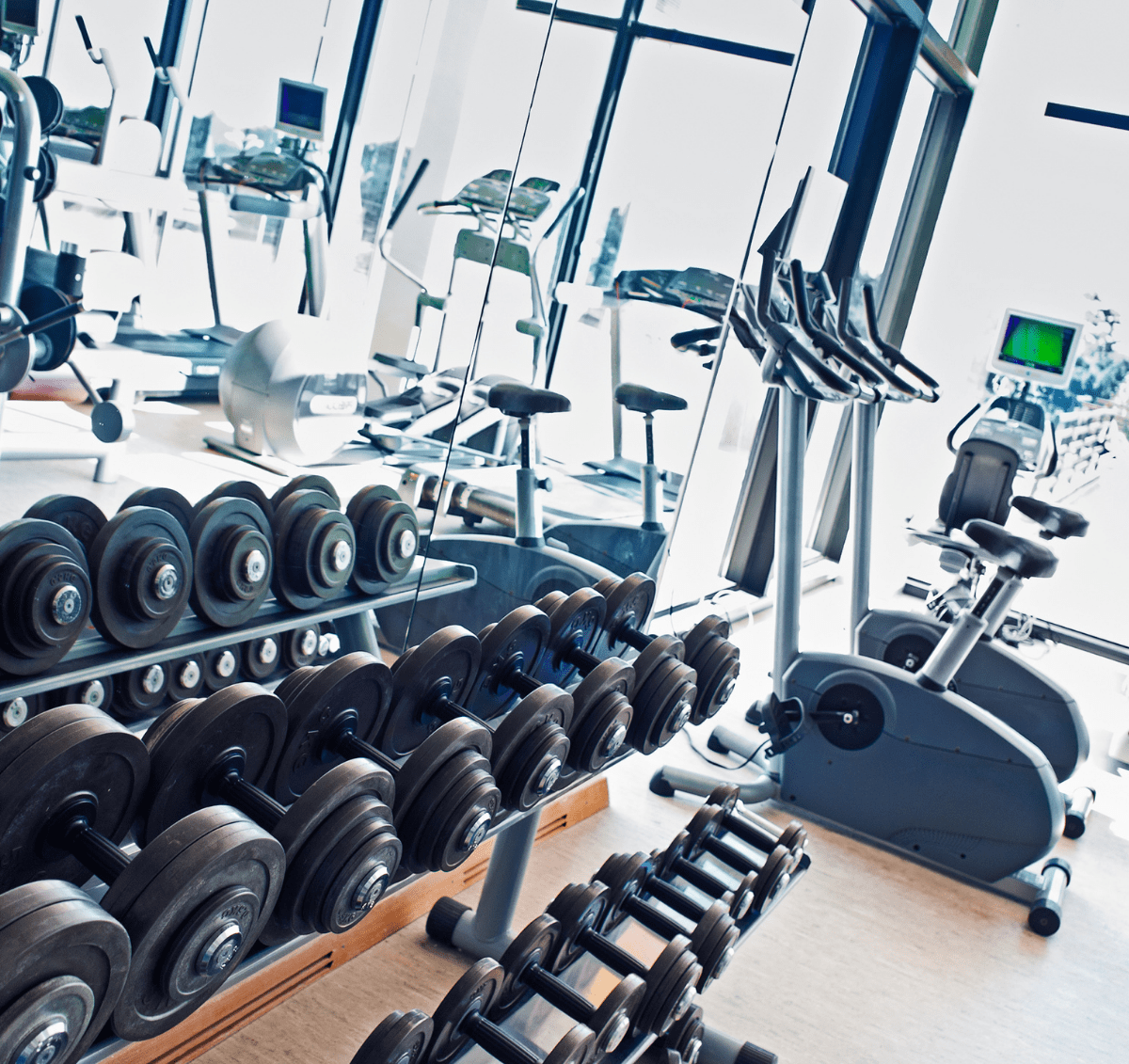 Fitness Rasmus Auctions