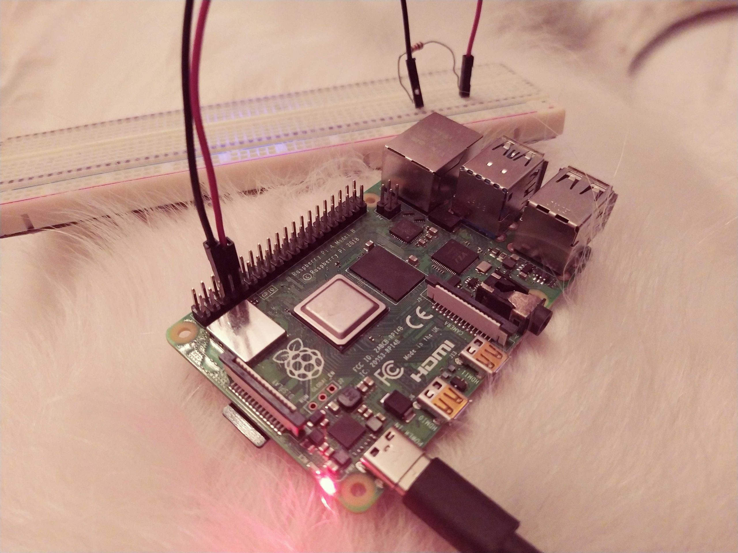 Activer le port série TTL du Raspberry Pi et vérifier qu'il fonctionne.