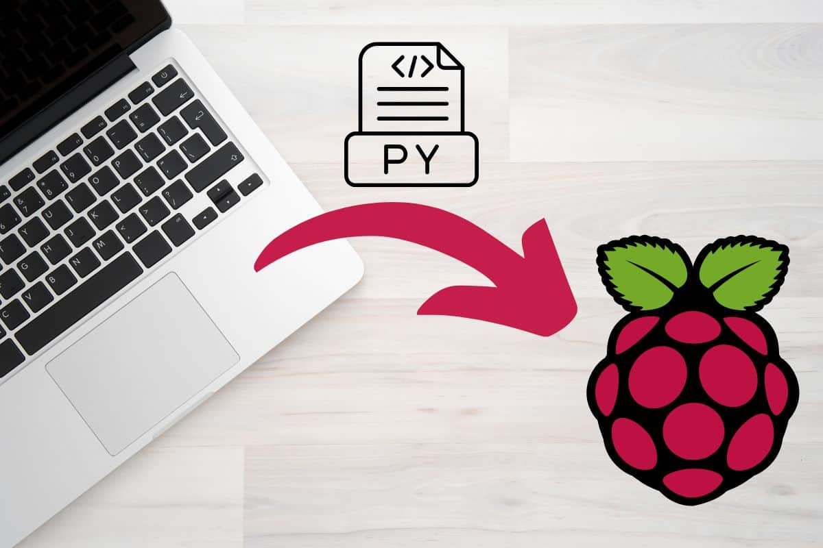 Raspberry Pi Logo