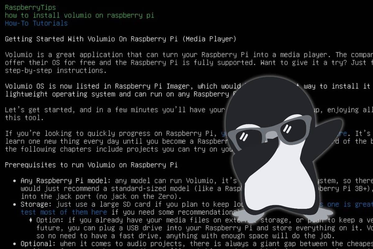 3 Best Ways to Access a site in a Linux Terminal RaspberryTips