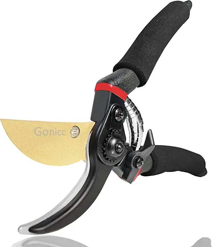 Get to Know the Different Types of Pruning Shears Rated & Reviewed
