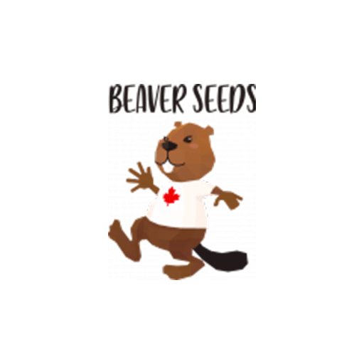 Best Canadian Seed Banks for 2023, Grab this Canadian Seed Banks before ending 2023