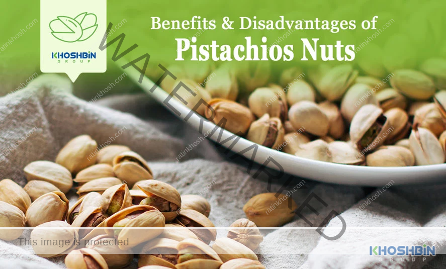 Benefits And Disadvantages Of Pistachios Nuts I Khoshbin Group
