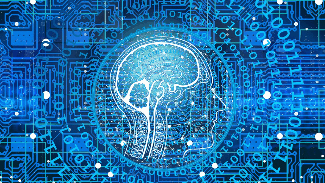 The Simulation Hypothesis is Wrong Humans Are Not Machines