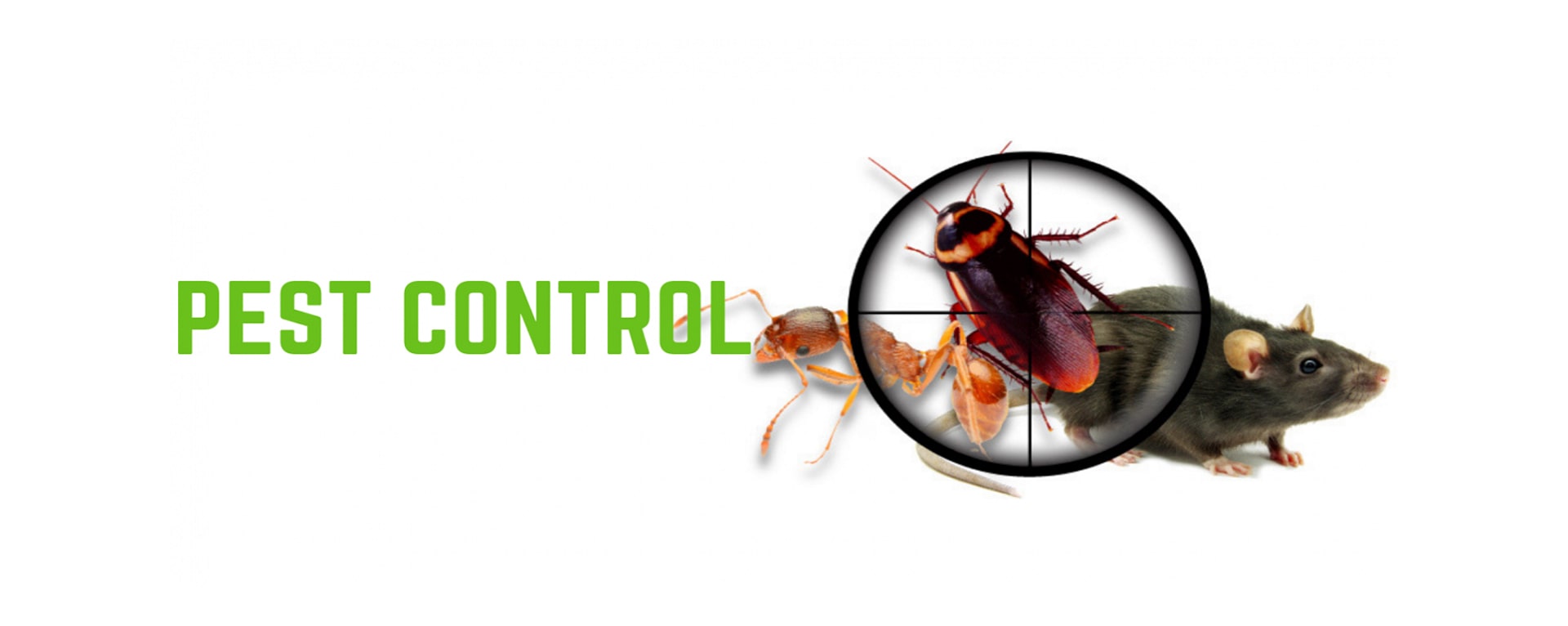 Pest Control Service & Commercial Pest Control Service in Vadodara