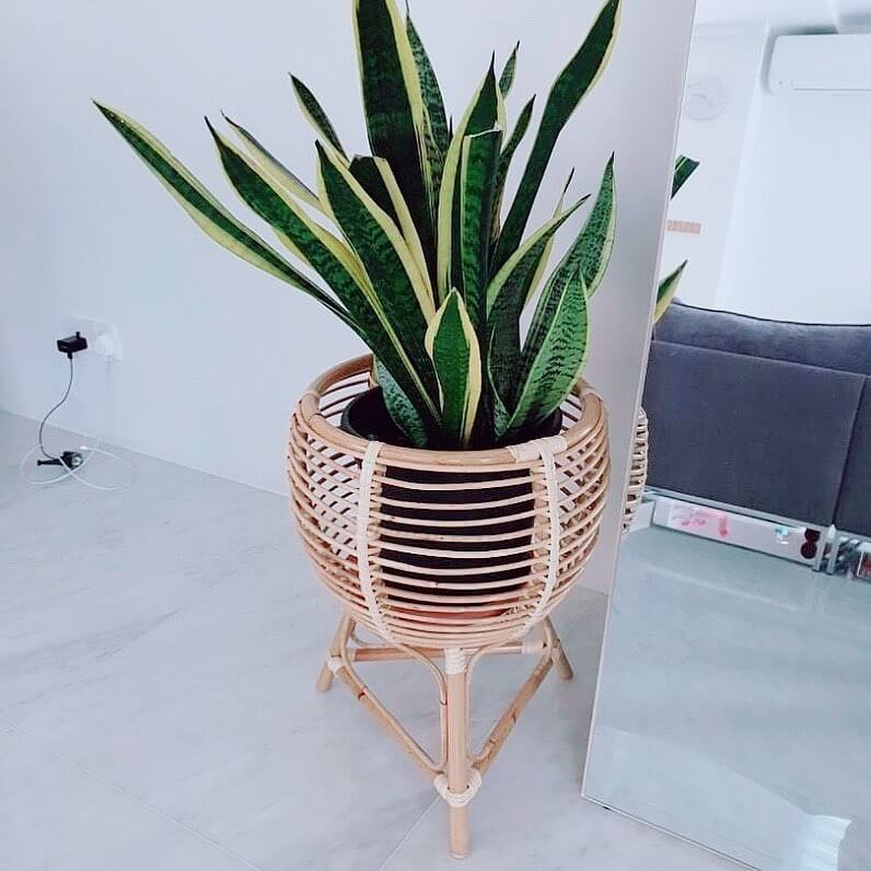 Rattan Plant Pot Stand Rattan Capital
