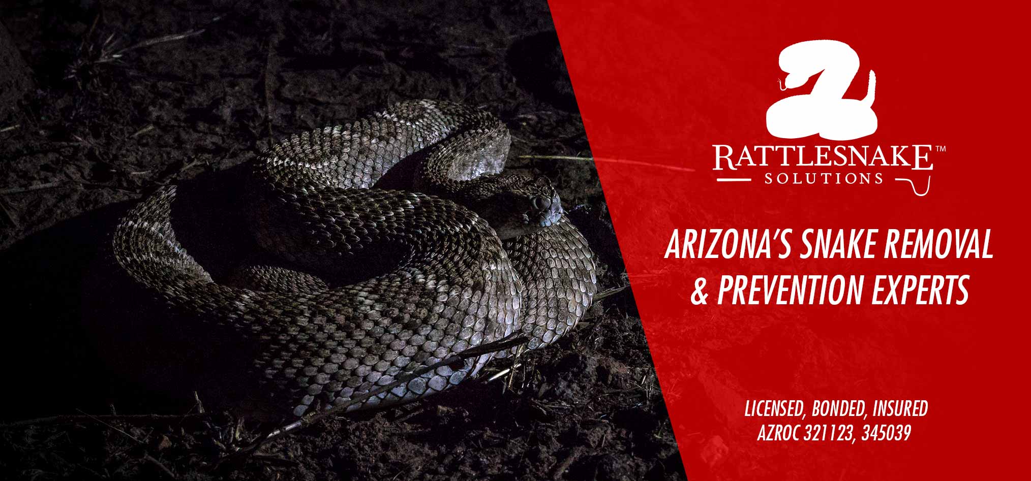 Phoenix Snake Removal and Rattlesnake Fence Installation Rattlesnake