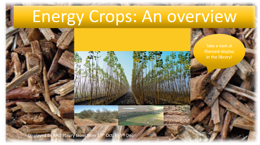 Energy Crops an overview (current themed library display Latest News