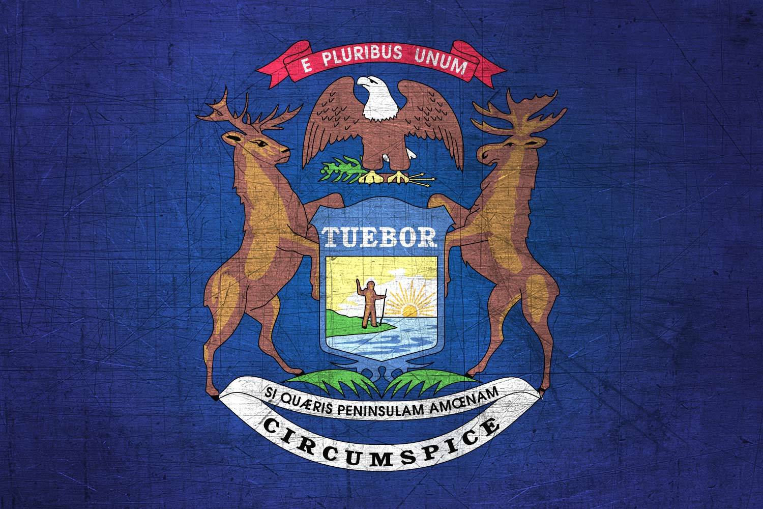 Michigan Knife Laws RavenCrest Tactical