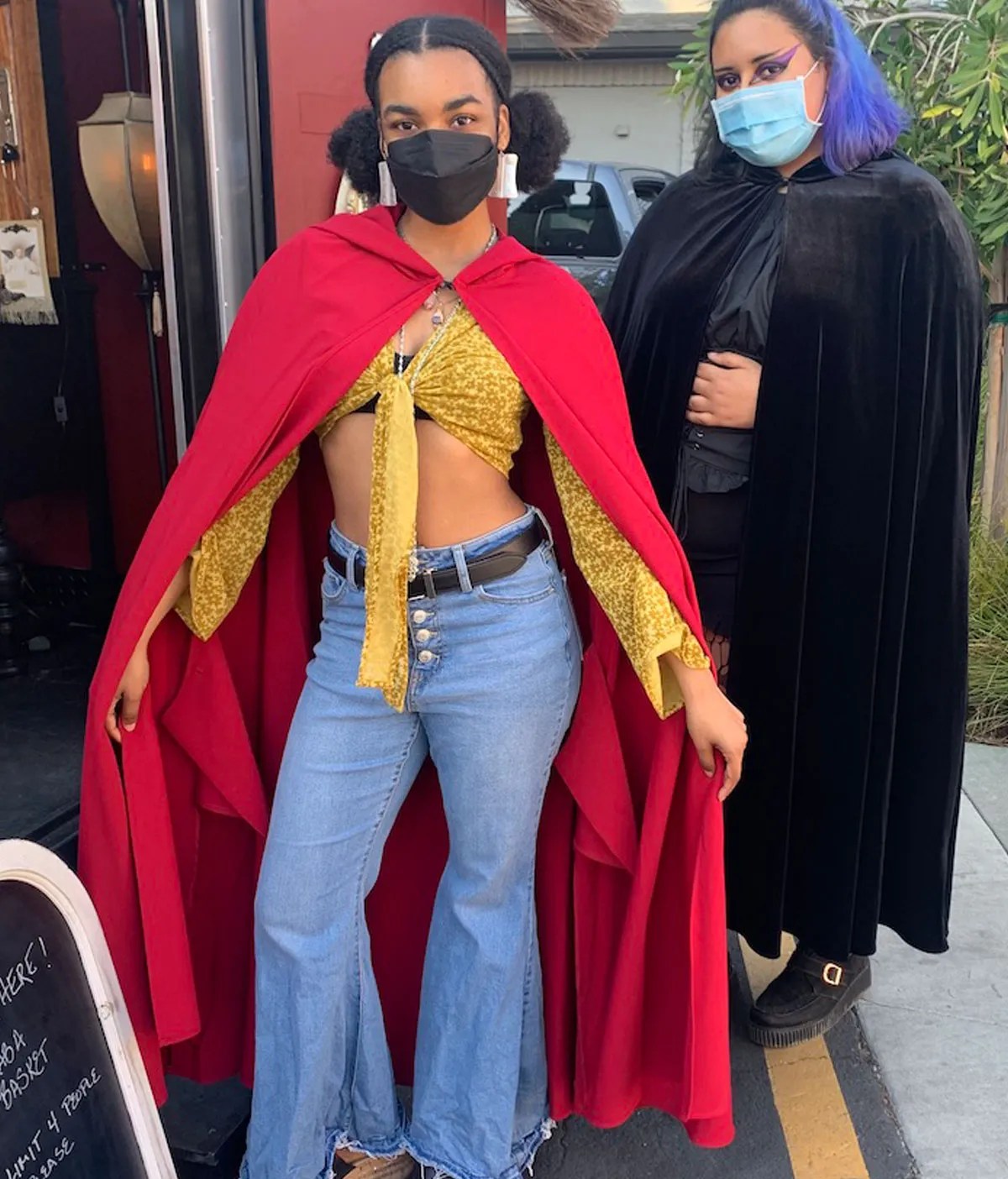 Hooded Cloaks Women Raven Fox Capes and Cloaks