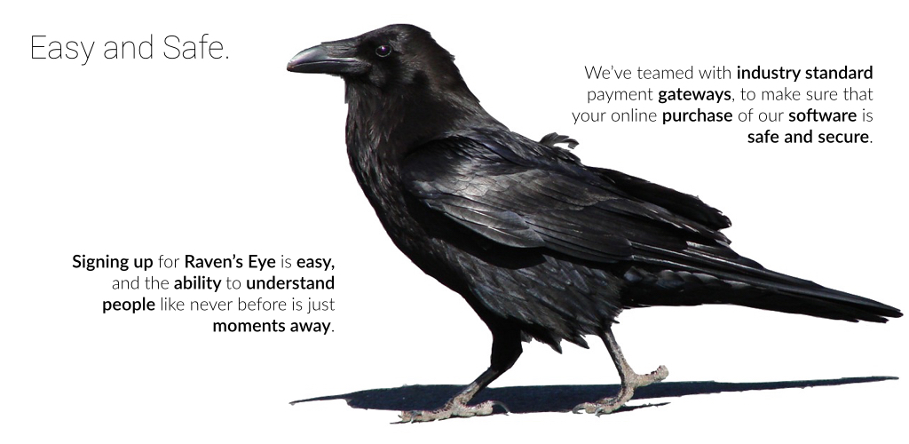 Raven's Eye Automatic natural language analysis