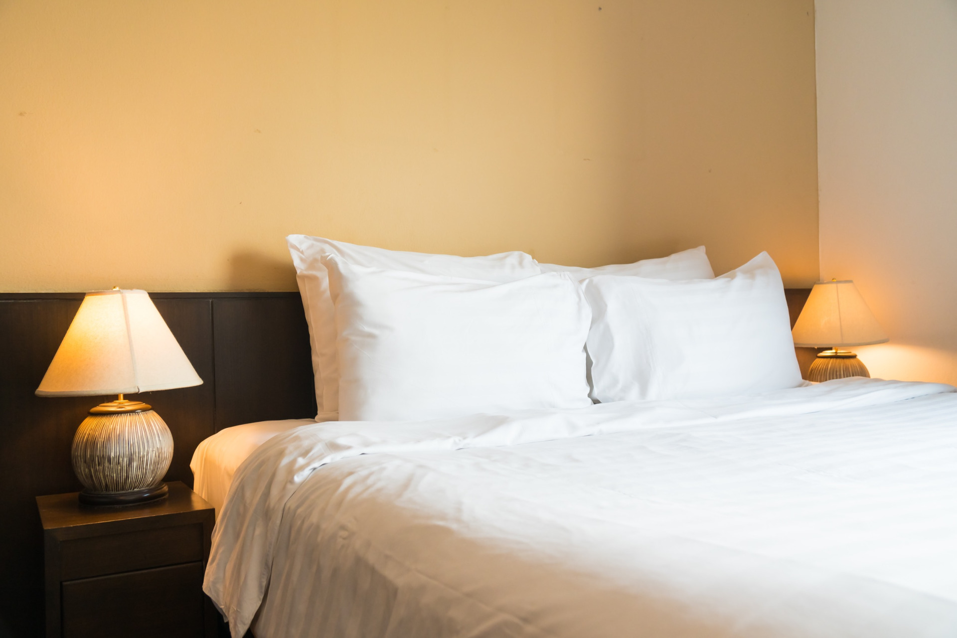 Protect Yourself from Bed Bugs Exterminator Elkridge