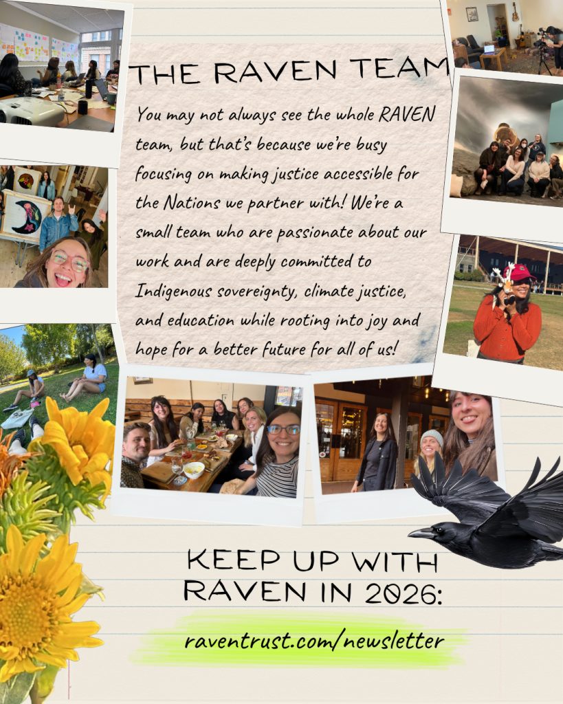 RAVEN Reflections Rooting into the past, growing into the future