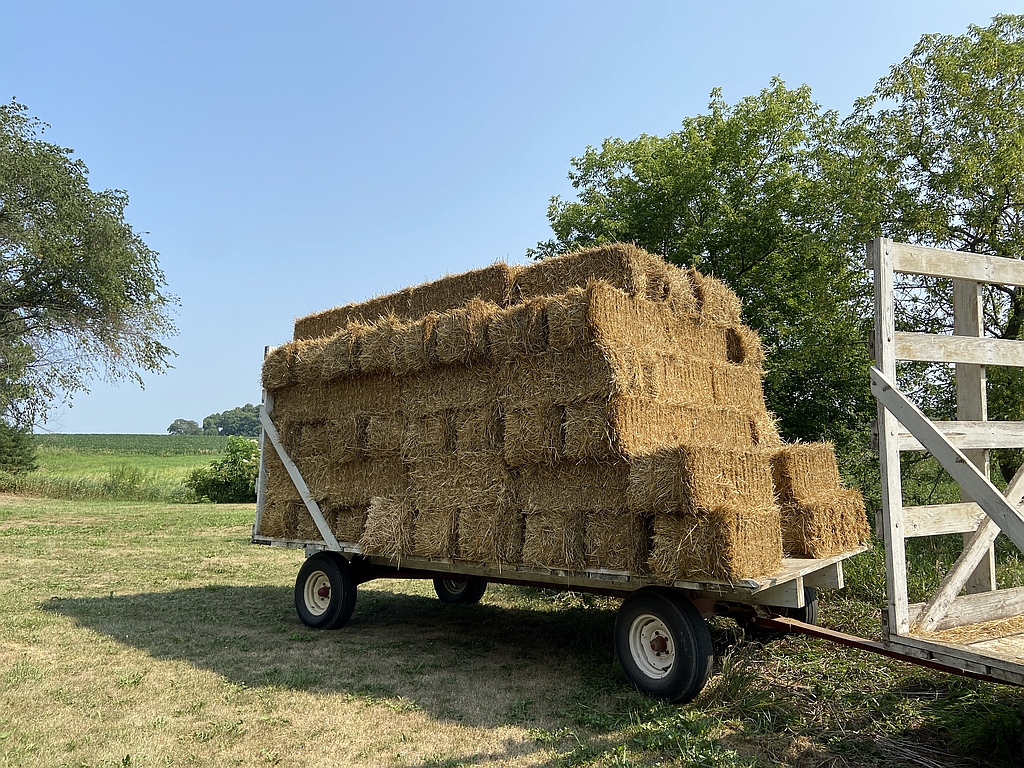 Oat Straw Bale