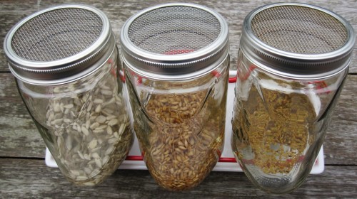 Ravishing Raw Archive Sprouts & Seeds