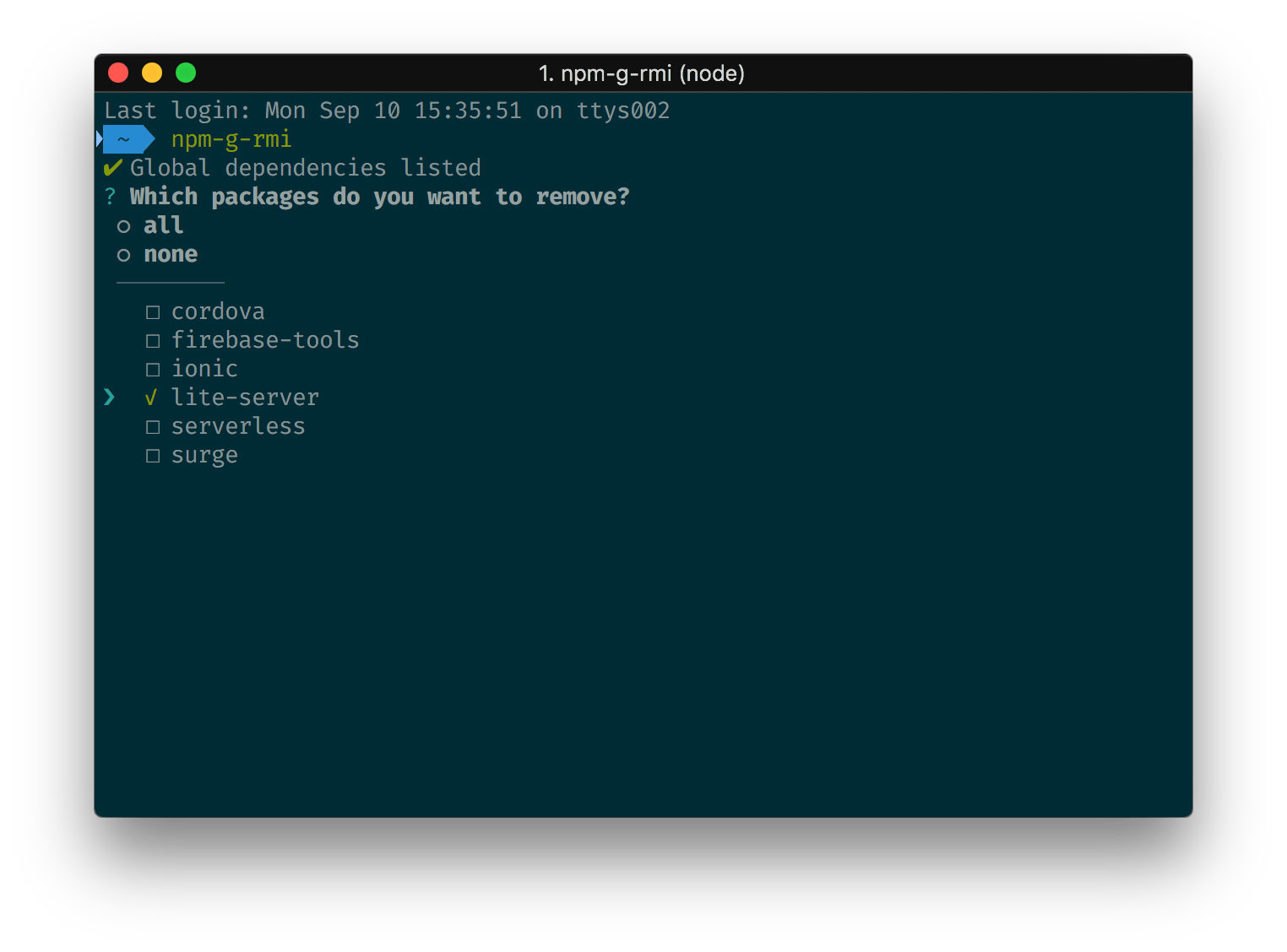 npmglobalrminteractive npm