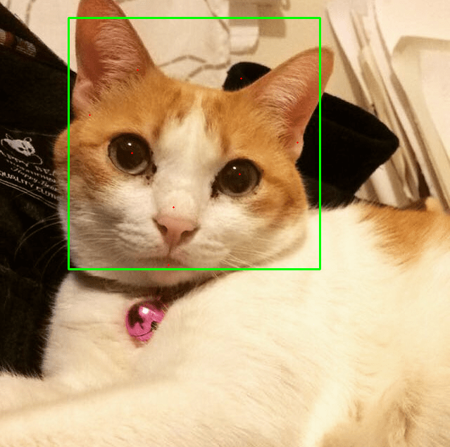 GitHub BruceMacD/CatFacialDetection Detecting and