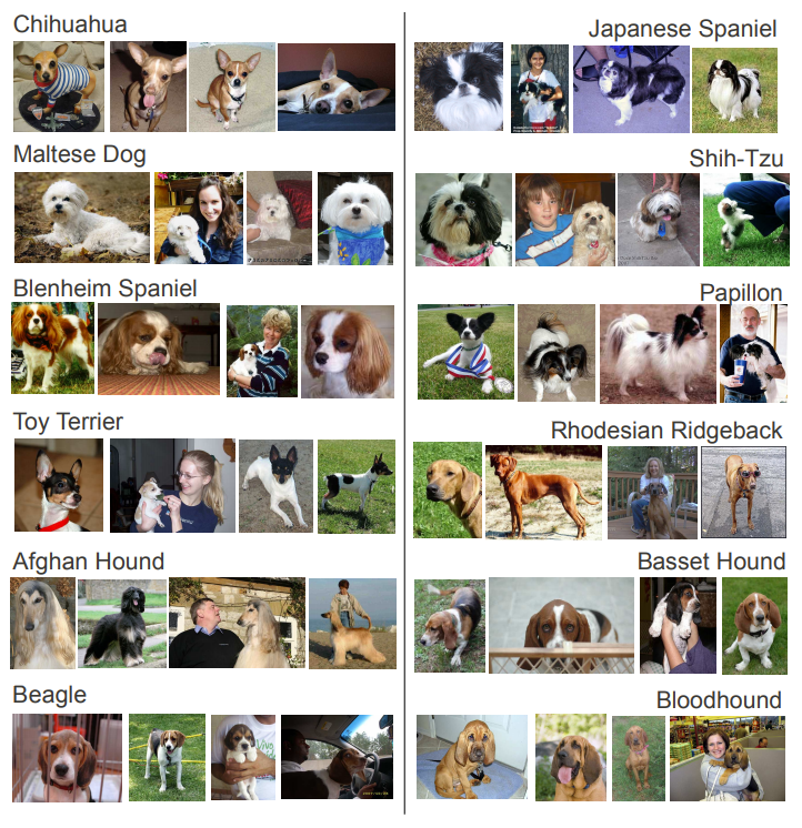 GitHub hailindu/DogBreedImageClassificationStanfordUniversity