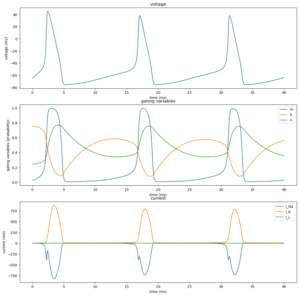 GitHub HeMuling/HodgkinHuxleymodel an implementation of Hodgkin