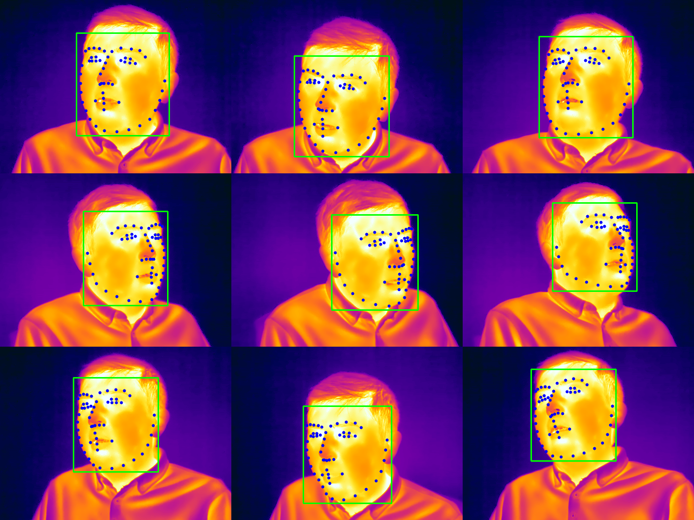 Thermal Facial Landmarks Detection
