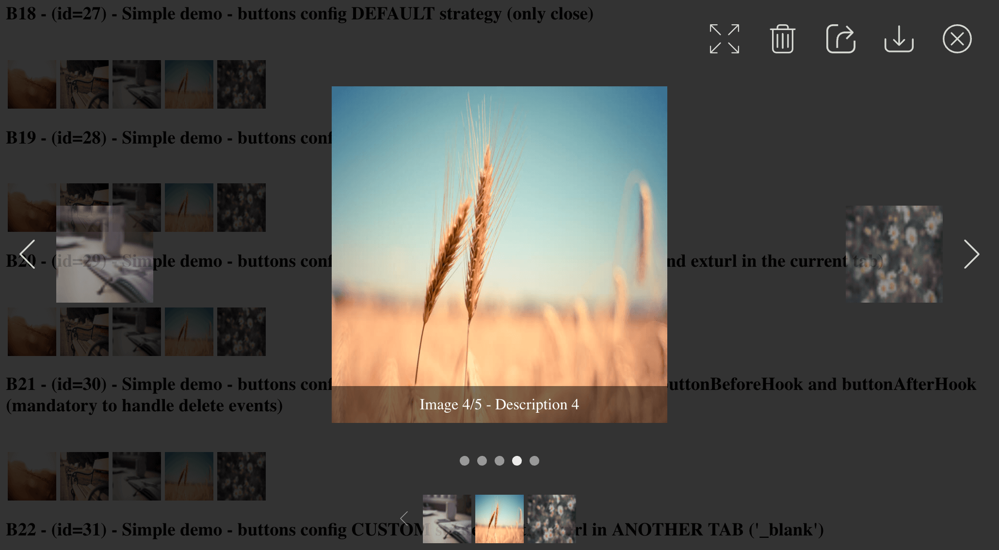 GitHub Ks89/angularmodalgallery Modal image gallery for Angular