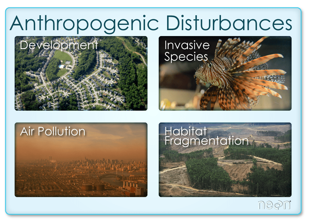 Quantifying The Drivers and Impacts of Natural Disturbance Events The