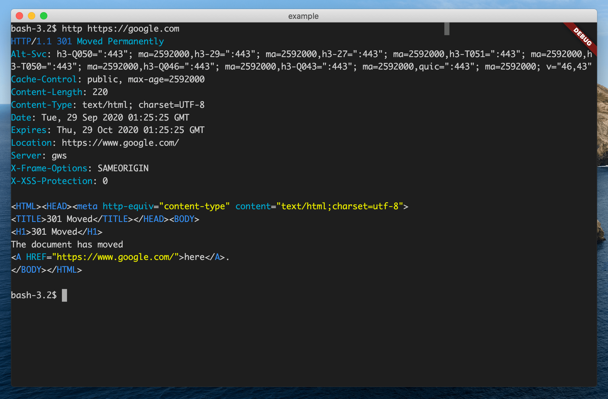 xterm Flutter Package