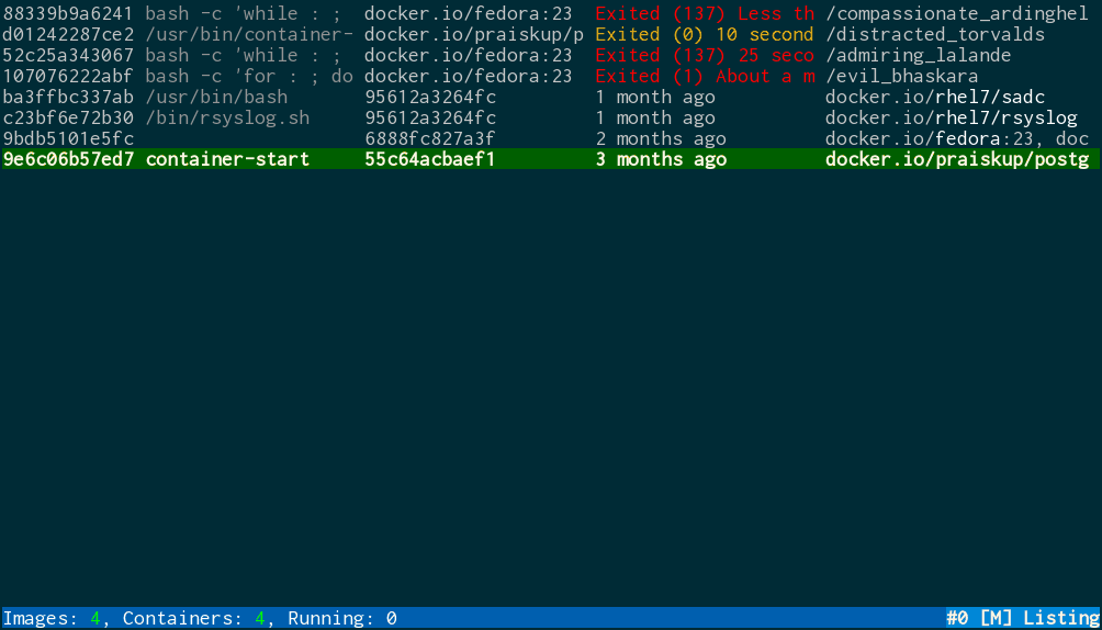 How do I list all applications that are contained in a docker container
