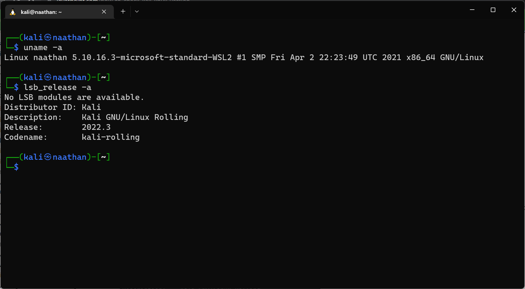 Installing Kali Linux in Windows 11 using WSL2