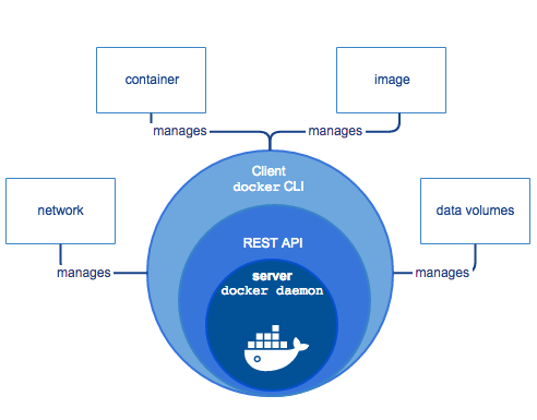Docker Client VS Server | dockerlabs