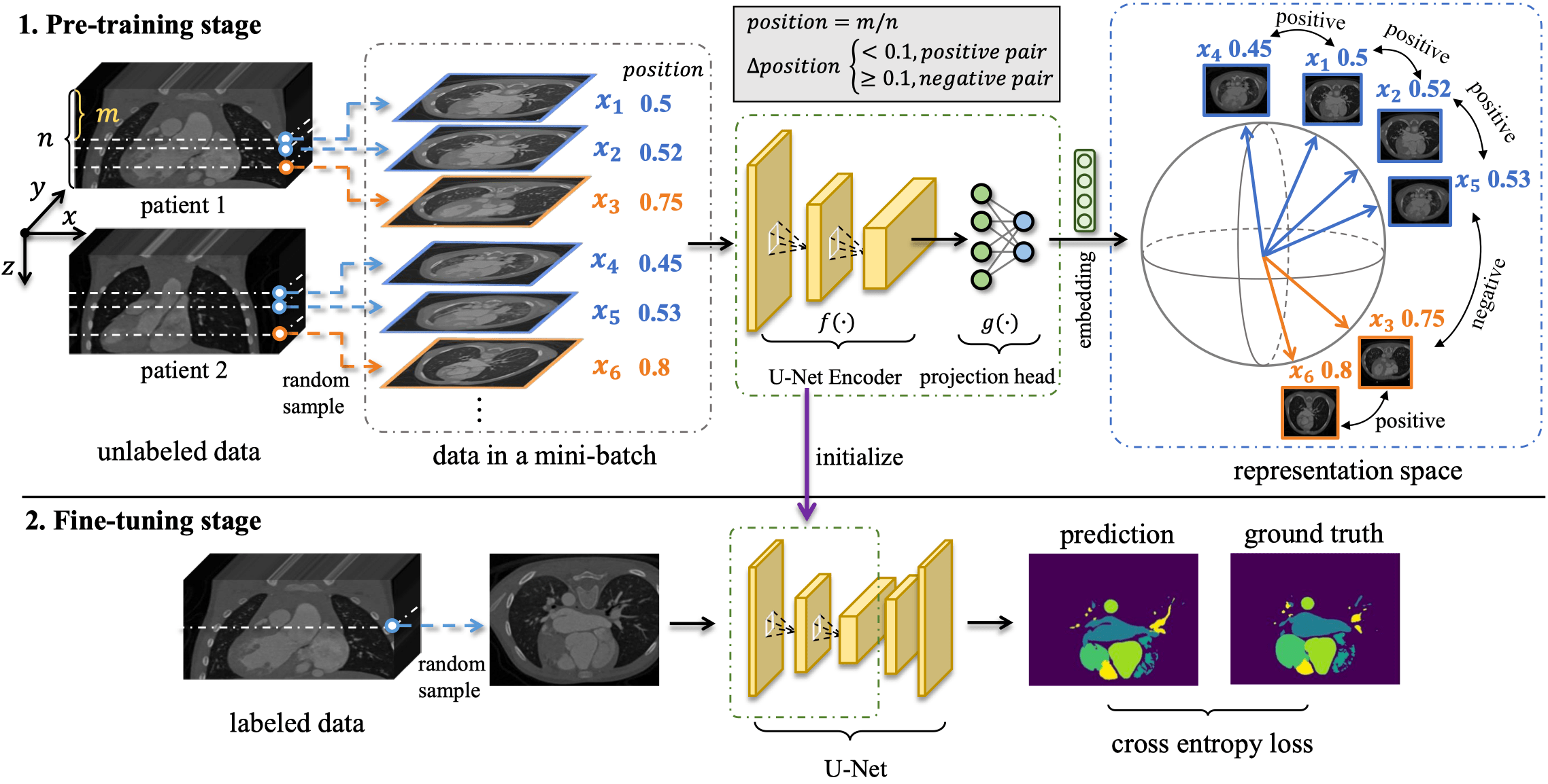Positional Contrastive Learning for Volumetric Medical Image