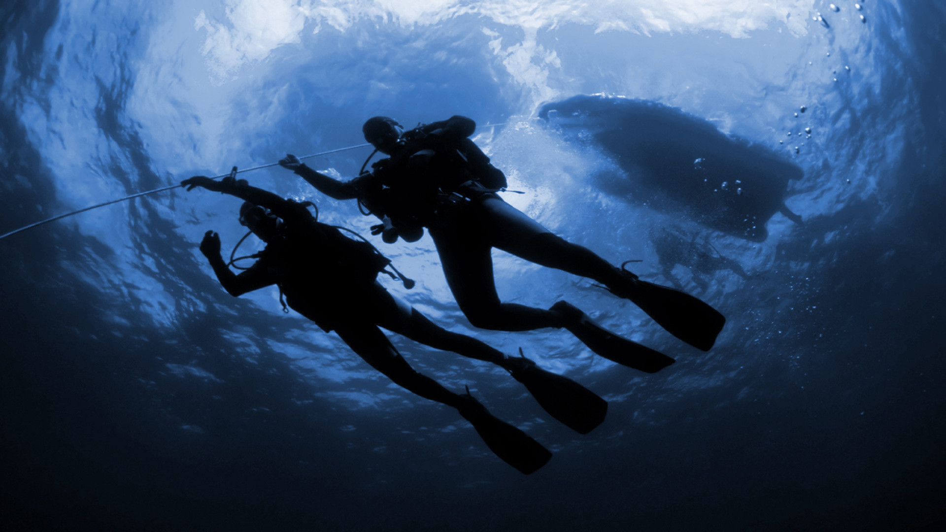 Diving Compass