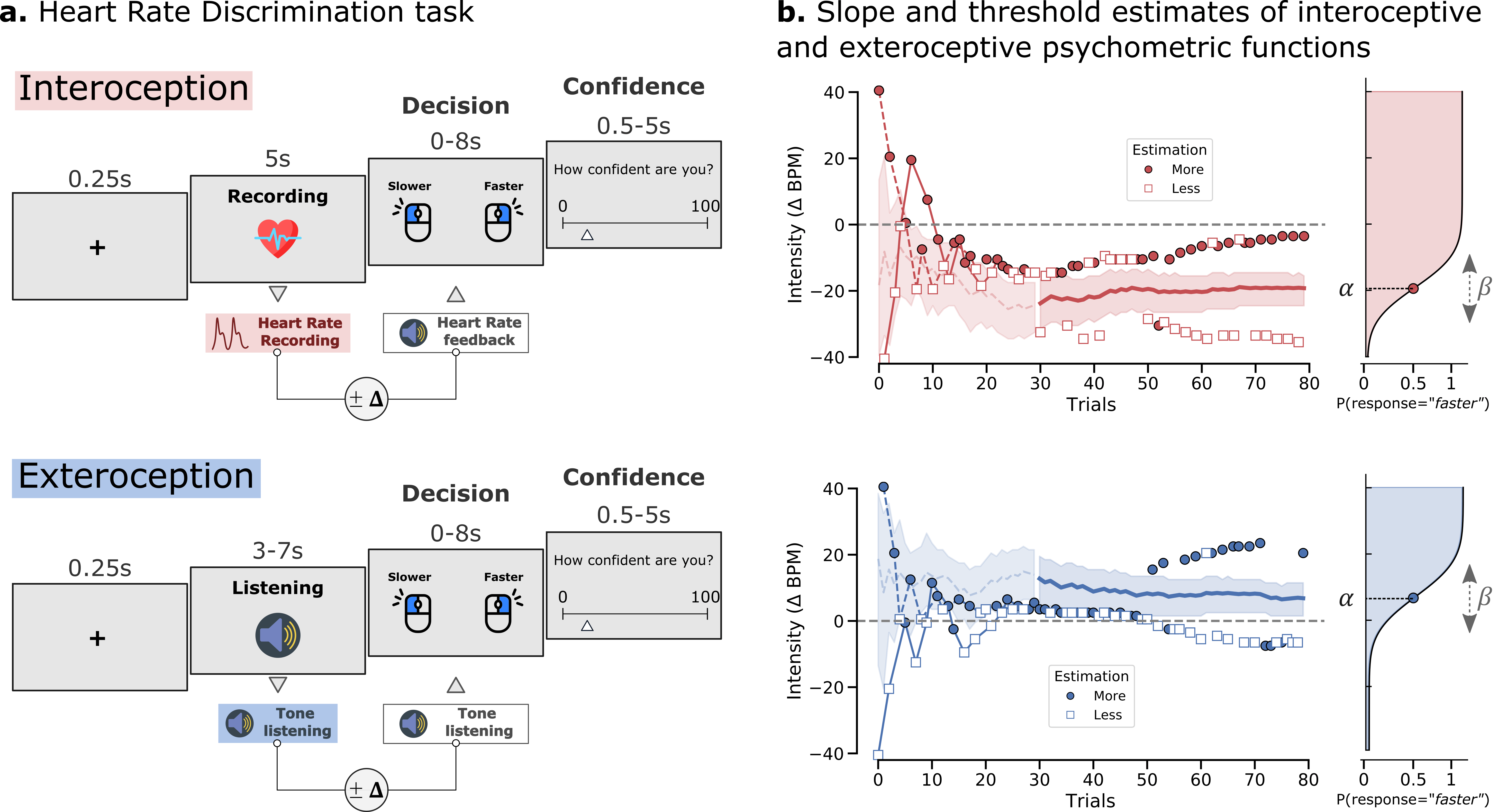 Measuring cardiac interoception — cardioception 0.4.4 documentation