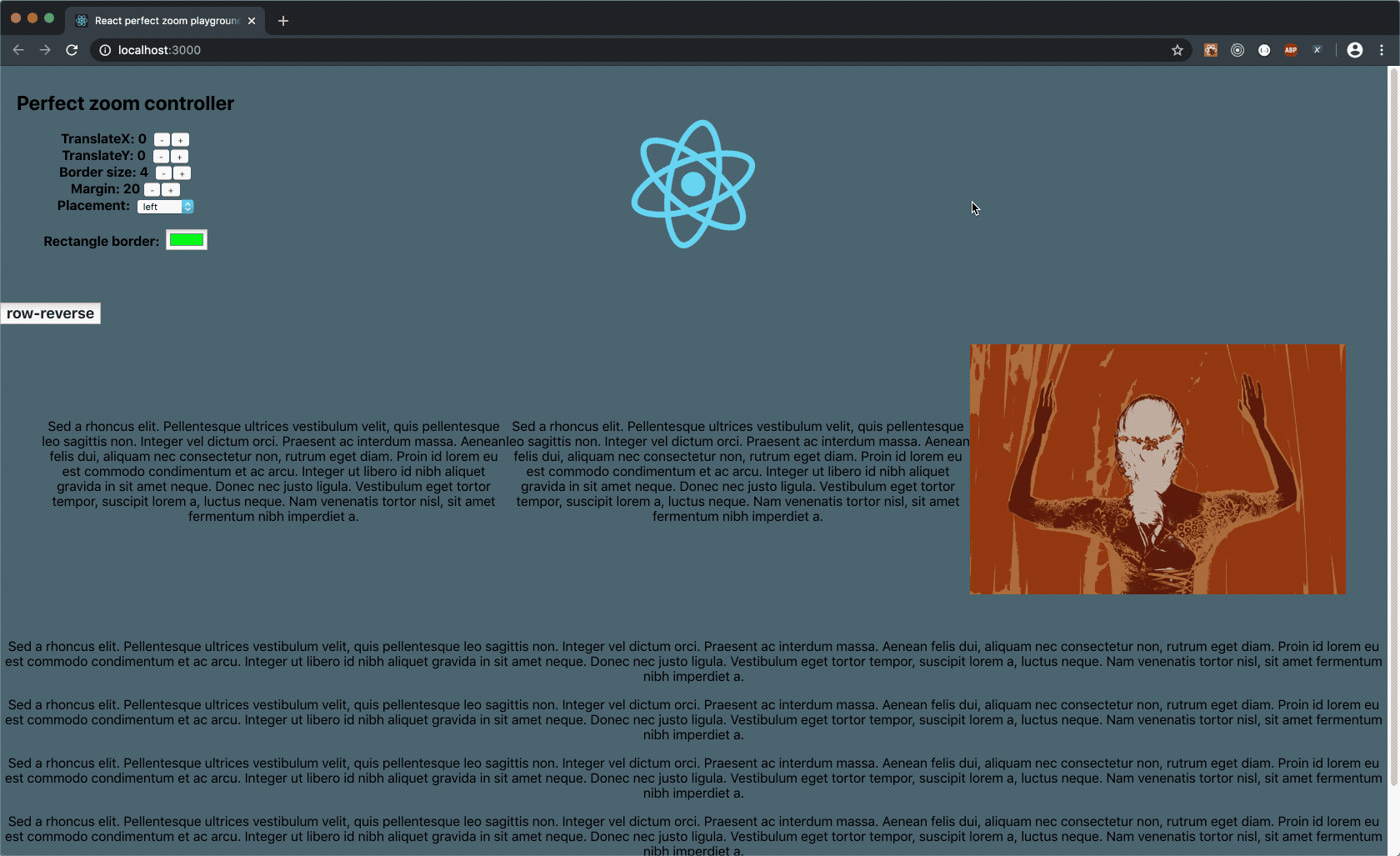 reactperfectzoom npm