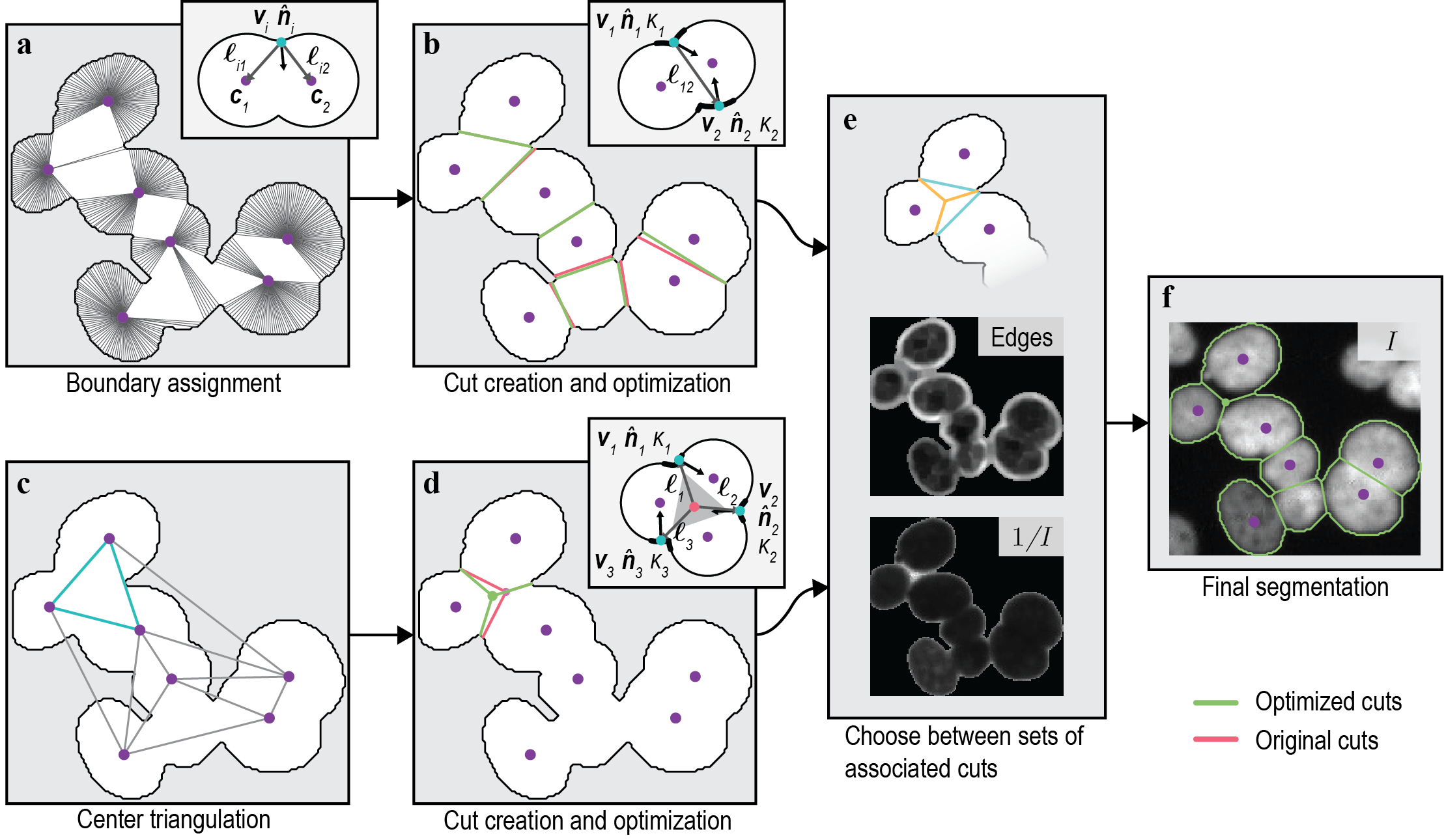 SeedPoint Based Geometric Partitioning of Nuclei Clumps Papers With Code