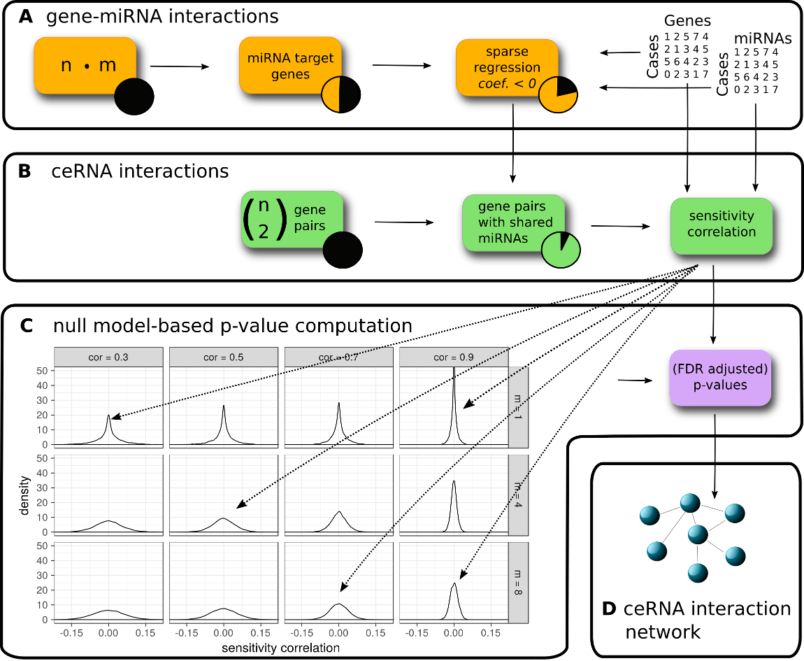 GitHub biomedbigdata/SPONGE Sparse Partial correlation ON Gene
